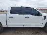 1FTEW1CP5PF****** Used 2023 Ford F-150 in Texas State