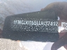 1FMCU0G65LU****** Usados 2020 Ford Escape en Central New Jersey
