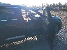 WA1LHAF72HD****** Usados y Reparables 2017 Audi Q7 en Estado de Washington