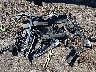 1FTPW12V58F****** Wrecked 2008 Ford F-150 in Mississippi State