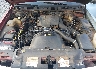 2FALP74WXTX****** Reparables 1996 Ford Crown Victoria en Macon