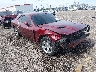 2C3CDZAG8KH****** Salvage and Wrecked 2019 Dodge Challenger in Lafayette