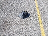 1FMSU43F32E****** Wrecked 2002 Ford Excursion in Michigan State