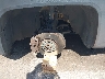 ZACCJABTXGP****** Used 2016 Jeep Renegade