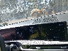 5NMP5DGL6RH****** Wrecked 2024 Hyundai Santa Fe
