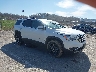 1GKKNULS0HZ****** Salvage and Wrecked 2017 GMC Acadia in Saint Louis