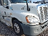3AKJGLDR3DS****** Usados 2013 Freightliner Cascadia 125 en Estado de Florida