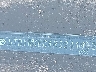 5TDYRKEC4RS****** Repairable 2024 Toyota Sienna