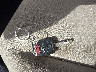 1HGCR2F32GA****** Salvage 2016 Honda Accord in Maryland State