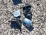 1FTEW1EG9FF****** Wrecked 2015 Ford F-150 in Kentucky State