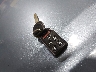 5FNRL38408B****** Salvage 2008 Honda Odyssey in Indiana State