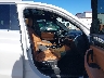 5UX2V1C06M9****** Usados y Reparables 2021 BMW X4 en Estado de Carolina del Norte