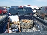2GCEK13Z461****** Repairable 2006 Chevrolet Silverado 1500
