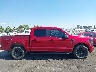 1FTFW2L56RK****** Usados 2024 Ford F-150 en Estado de California