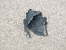 KMHL64JA1PA****** Wrecked 2023 Hyundai Sonata in Hawaii State