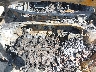 5NPD74LF7KH****** Repairable 2019 Hyundai Elantra in Houston North