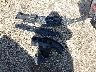 5FPYK3F76NB****** Wrecked 2022 Honda Ridgeline in Maryland State