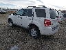 1FMCU9DG6CK****** Salvamento y Reparables 2012 Ford Escape en Billings