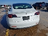 5YJ3E1EAXLF****** Salvamento 2020 Tesla Model 3