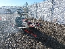 2BPSTSND6NV****** Salvamento y Reparables 2022 Ski-Doo Renegade Adrenaline 850 en Billings