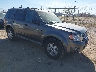 1FMCU9D72AK****** Salvage and Wrecked 2010 Ford Escape in Tucson