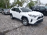 2T3H1RFV9KW****** Salvage and Wrecked 2019 Toyota RAV4 in West Palm Beach