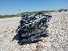 4S3BWAF62P3****** Wrecked 2023 Subaru Legacy