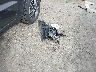 JN1CV6AR9DM****** Wrecked 2013 Infiniti G37x in Massachusetts State