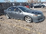 19UUA66236A****** Salvamento y Destrozados 2006 Acura TL en Denver East