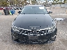 5XXGT4L39KG****** Salvamento 2019 Kia Optima en Estado de Nueva York