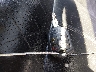 1FT7W2BT1DE****** Salvamento 2013 Ford F-250 en Estado de Luisiana