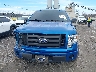 1FTEX1EW2AF****** Wrecked 2010 Ford F-150 in North Carolina State