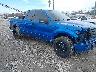 1FTEX1EW2AF****** Salvage and Wrecked 2010 Ford F-150 in Asheville