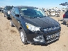 1FMCU0GX2GU****** Salvamento y Destrozados 2016 Ford Escape en Sacramento