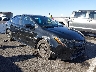 5YFEPMAE6NP****** Salvamento y Destrozados 2022 Toyota Corolla en Las Vegas
