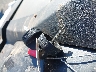3NSNEE995SF****** Salvamento 2025 Polaris RZR en Estado de California