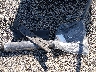 3N1AB8BV9SY****** Wrecked 2025 Nissan Sentra in Kentucky State