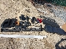 3FA6P0D90LR****** Wrecked 2020 Ford Fusion in Massachusetts State