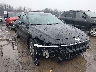KMHLL4DG1SU****** Salvage and Repairable 2025 Hyundai Elantra in New York State