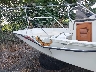 BWCM673***** Salvage and Repairable 1989 Boston Whaler 17' in New York State