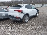 KL4AMBS29RB****** Salvamento y Destrozados 2024 Buick Encore en Estado de Iowa