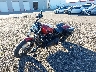 1HD1YJJ17KC****** Used and Repairable 2019 Harley-Davidson Street Bob in Rec Rides Online Exclusive