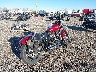 1HD1YJJ17KC****** Salvage and Wrecked 2019 Harley-Davidson Street Bob in Utah State