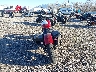1HD1YJJ17KC****** Salvage and Repairable 2019 Harley-Davidson Street Bob in Utah State