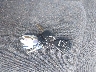 1GCEK19T02Z****** Salvage 2002 Chevrolet Silverado 1500 in Texas State