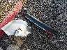 5XXGU4L30JG****** Wrecked 2018 Kia Optima in Indiana State
