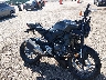 MLHNC5558S5****** Salvage and Wrecked 2025 Honda CB300R in Rec Rides Online Exclusive