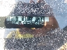 1N4BL4BV6PN****** Used 2023 Nissan Altima in Dallas