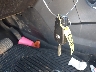 KL4CJASB9FB****** Salvage 2015 Buick Encore in Arkansas State