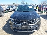 5XYRGDLC4PG****** Salvamento y Reparables 2023 Kia Sorento en Estado de Illinois